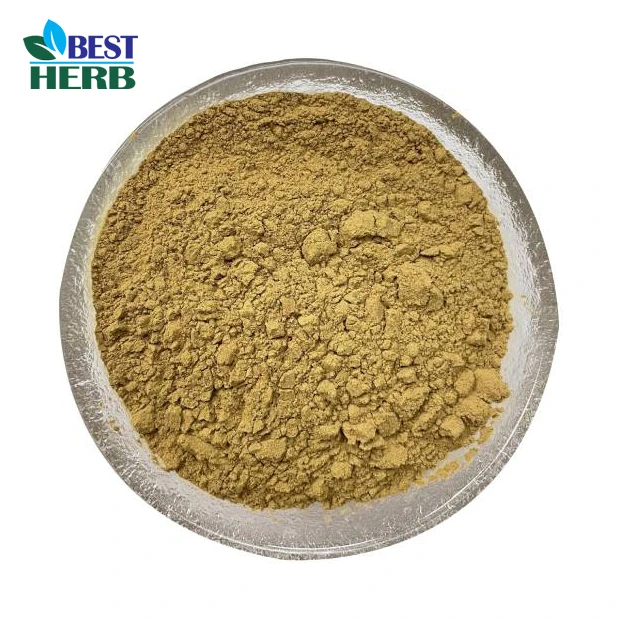 Fennel Seed Powder